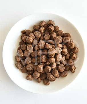 フォルツァ10 デイリーフォルツァ ミニ フィッシュ