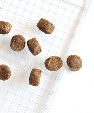 フォルツァ10 デイリーフォルツァ ミニ フィッシュ