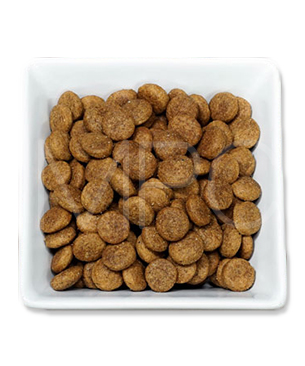 フォルツァ10　DOG　デイリーフォルツァ　ミディアムベニソン