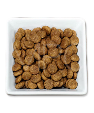 フォルツァ10 DOG デイリーフォルツァ ミディアムラム