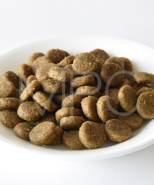 ギャザー エンドレスバレー