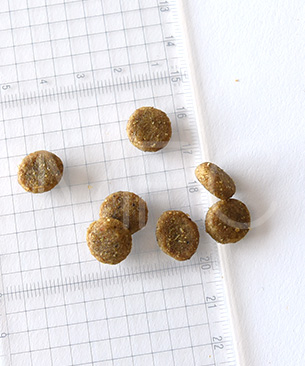 ギャザー エンドレスバレー