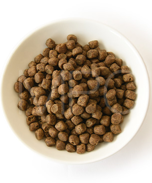 ゴー CAT カーニボア チキン+ターキー+ダック