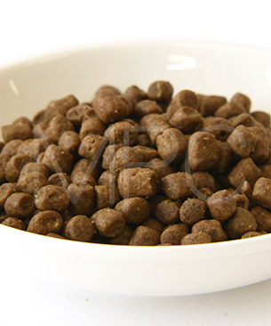 ゴー CAT カーニボア チキン+ターキー+ダック