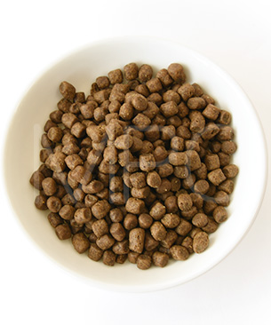 ゴー　CAT　カーニボア　サーモン＋タラ　お試しミニサイズ 30g