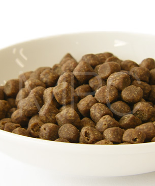 ゴー　CAT　カーニボア　サーモン＋タラ　お試しミニサイズ 30g