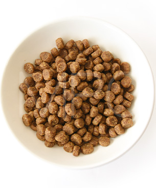 ゴー CAT センシティブ LID ダック