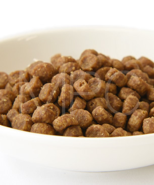 ゴー CAT センシティブ LID ダック