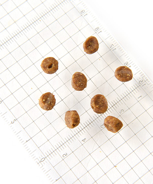 ゴー CAT センシティブ LID ダック