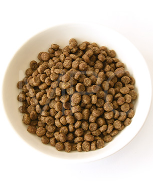 ゴー CAT 体重管理+関節ケア チキン