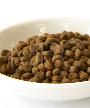 ゴー CAT 体重管理+関節ケア チキン