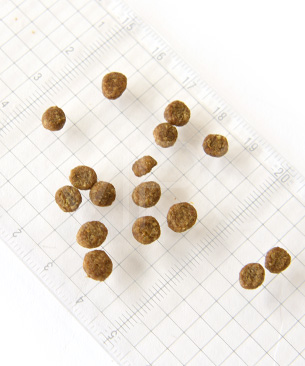 ゴー CAT 体重管理+関節ケア チキン