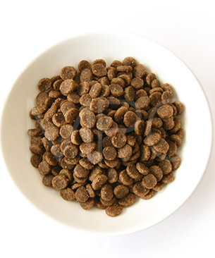 ゴー CAT 皮膚+被毛ケア サーモン