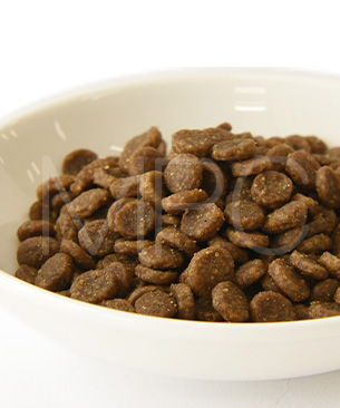 ゴー CAT 皮膚+被毛ケア サーモン