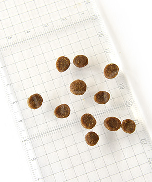 ゴー CAT 皮膚+被毛ケア サーモン