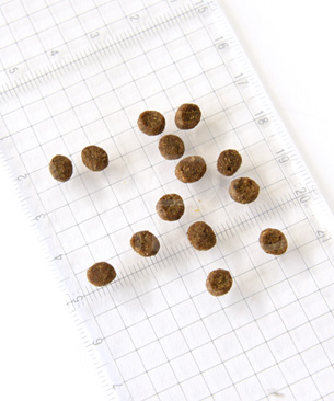 ゴー　CAT　消化＋腸の健康ケア　サーモン　お試しミニサイズ 30g