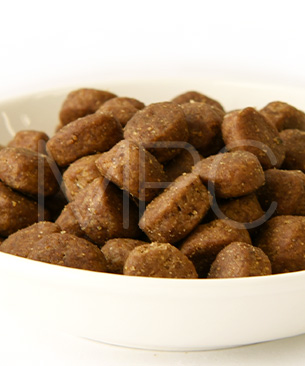 ゴー　DOG　カーニボア　アダルト　お試しミニサイズ 30g