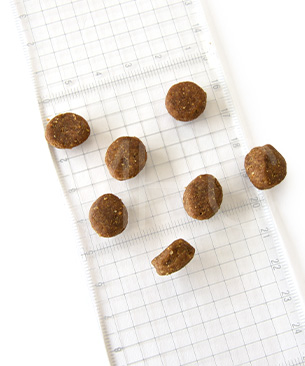 ゴー　DOG　カーニボア　アダルト　お試しミニサイズ 30g