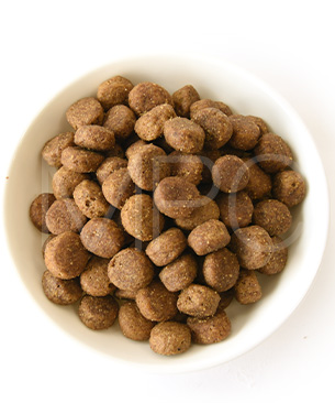 ゴー DOG カーニボア シニア