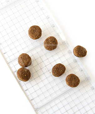 ゴー DOG カーニボア シニア