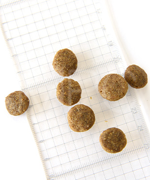 ゴー　DOG　センシティブ　LID　サーモン　お試しミニサイズ 30g