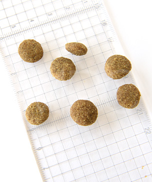 ゴー　DOG　体重管理＋関節ケア　チキン　お試しミニサイズ 30g