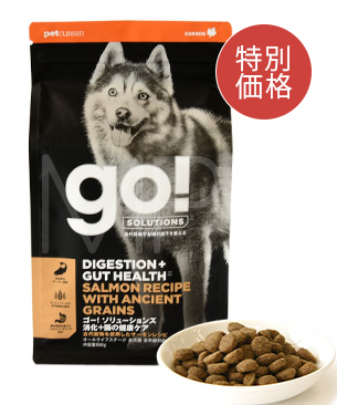 ゴー 【特別価格30%OFF】 DOG 消化+腸の健康ケア サーモン 800g