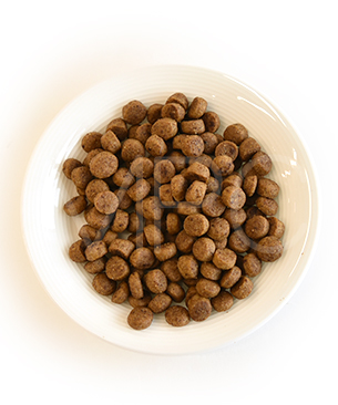 ハッピーキャット ヤング ジュニア ファームポルトリー (平飼いチキン)