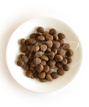 ハッピーキャット カリナリー アトランティックサーモン