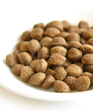 ハッピーキャット ステアライズド