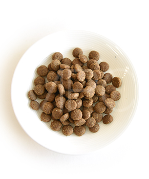 ハッピーキャット シニア アトランティックサーモン