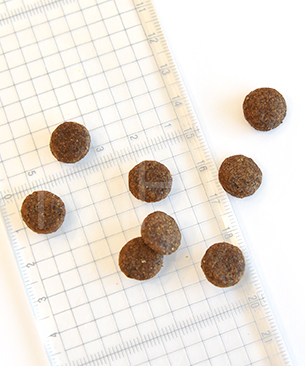 ハッピーキャット カリナリーファームダック(平飼いの鴨/穀物不使用)