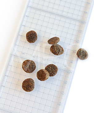 ハッピードッグ スプリーム ミニ フランス