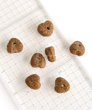 ハッピードッグ ヤング センシブル パピー サーモン&ポテト