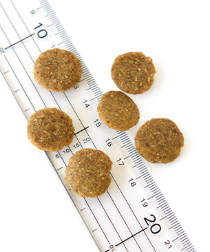 ハッピードッグ ケア サノN(腎臓ケア)