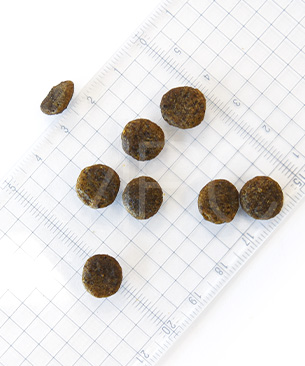 ハッピードッグ センシブル ミニ アフリカ