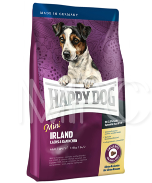 ミニ　アイルランド