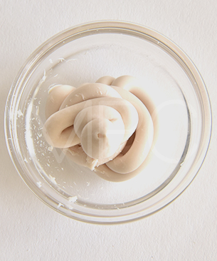 ヒルトンハーブ バイレックスクリーム