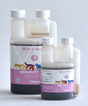 ヒルトンハーブ ヘパフィト ゴールド