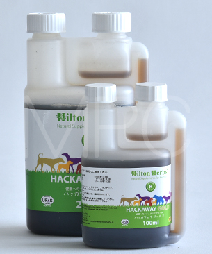 ヒルトンハーブ ハッカウェイ ゴールド