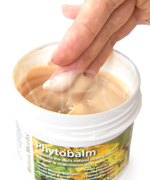 ヒルトンハーブ　DOG フィトバーム