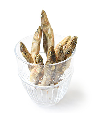 J&C プレミアムトリーツ エソ丸干し 40g