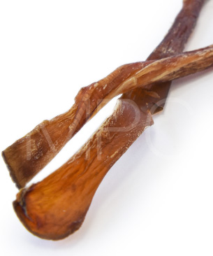 J&C プレミアムトリーツ プレーリーホース アキレス ロング 30g