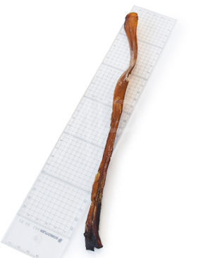 J&C プレミアムトリーツ プレーリーホース アキレス ロング 30g