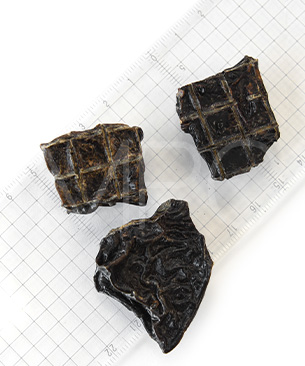 J&C プレミアムトリーツ プレーリーホース レバー 30g