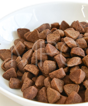 リリーズキッチン CAT 成猫 チキンキャセロール