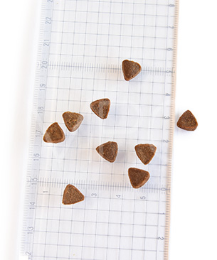 リリーズキッチン CAT 成猫 チキンキャセロール