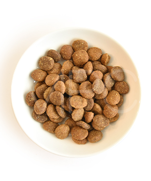 リリーズキッチン 成犬 エィンシャントグレイン素朴なチキン&ターキー