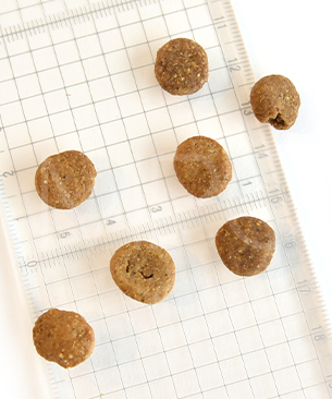 リリーズキッチン 成犬 エィンシャントグレイン素朴なチキン&ターキー