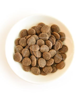 リリーズキッチン 成犬 エィンシャントグレイン農家のビーフシチュー